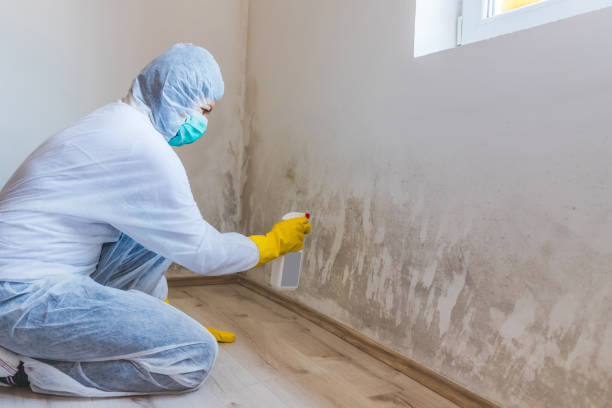 Bathroom Mold Removal assessment in Frederick bathroom